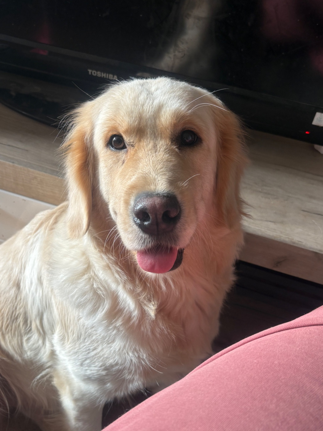 Mind Bossea's Utopique Guerrière