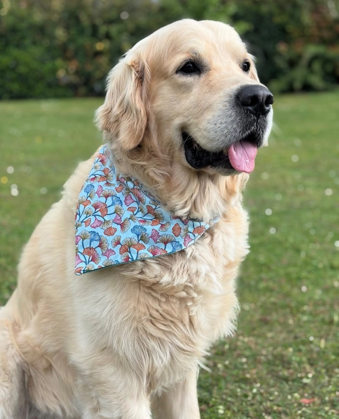 Mind Bossea's Oh Michka